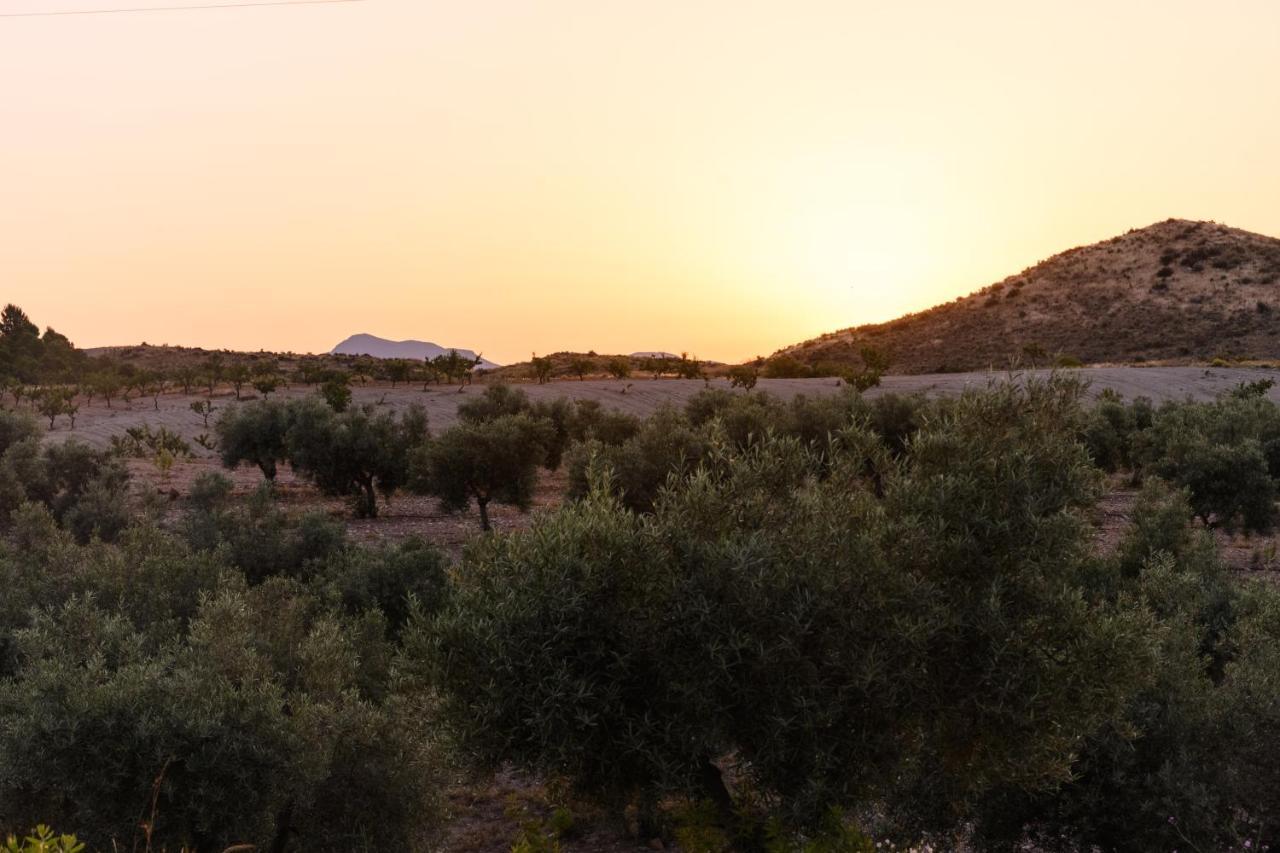 Гостевой дом Complejo Rural Sol De Таберно Экстерьер фото
