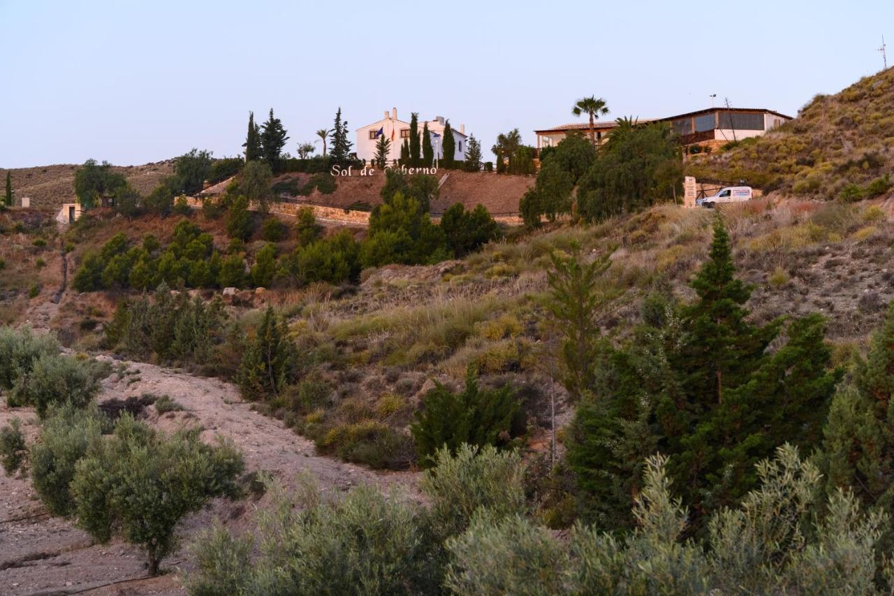 Гостевой дом Complejo Rural Sol De Таберно Экстерьер фото