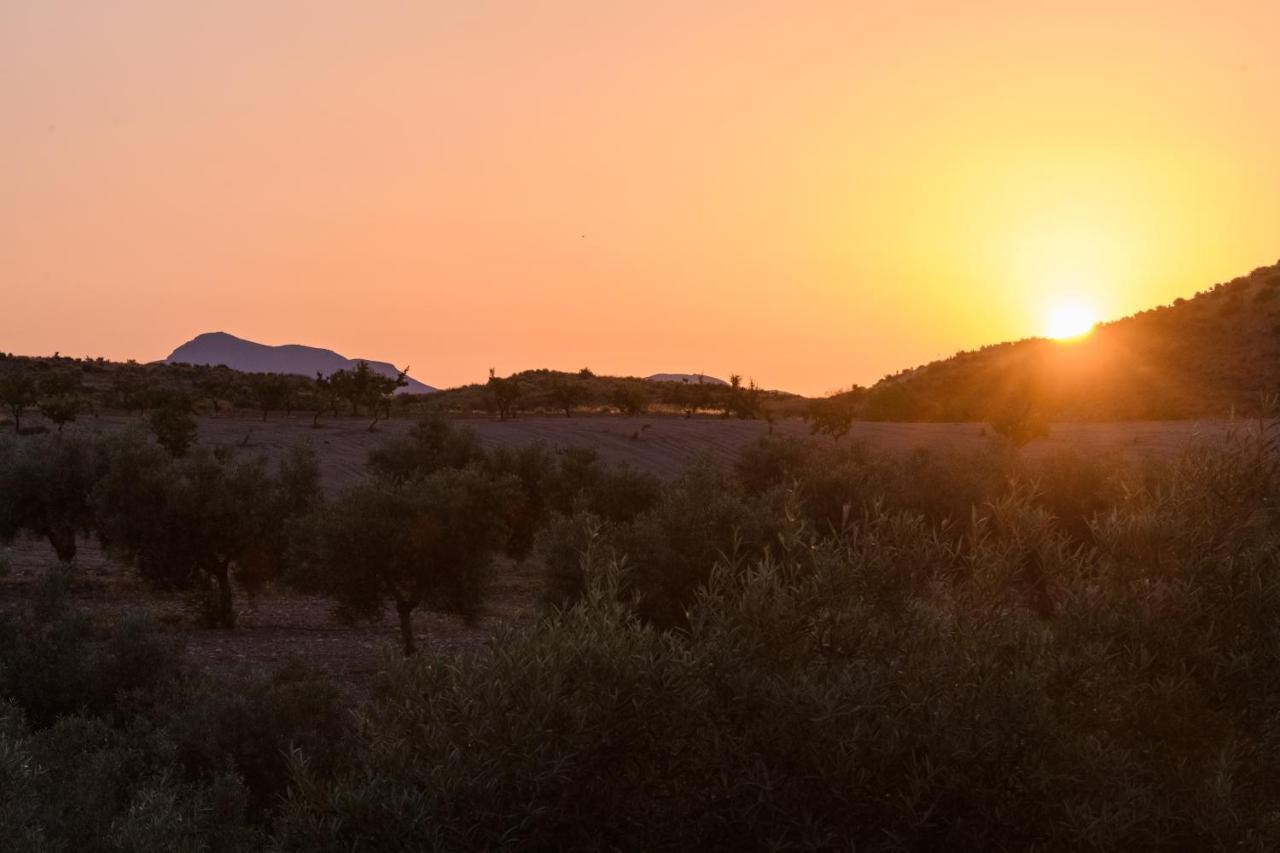 Гостевой дом Complejo Rural Sol De Таберно Экстерьер фото