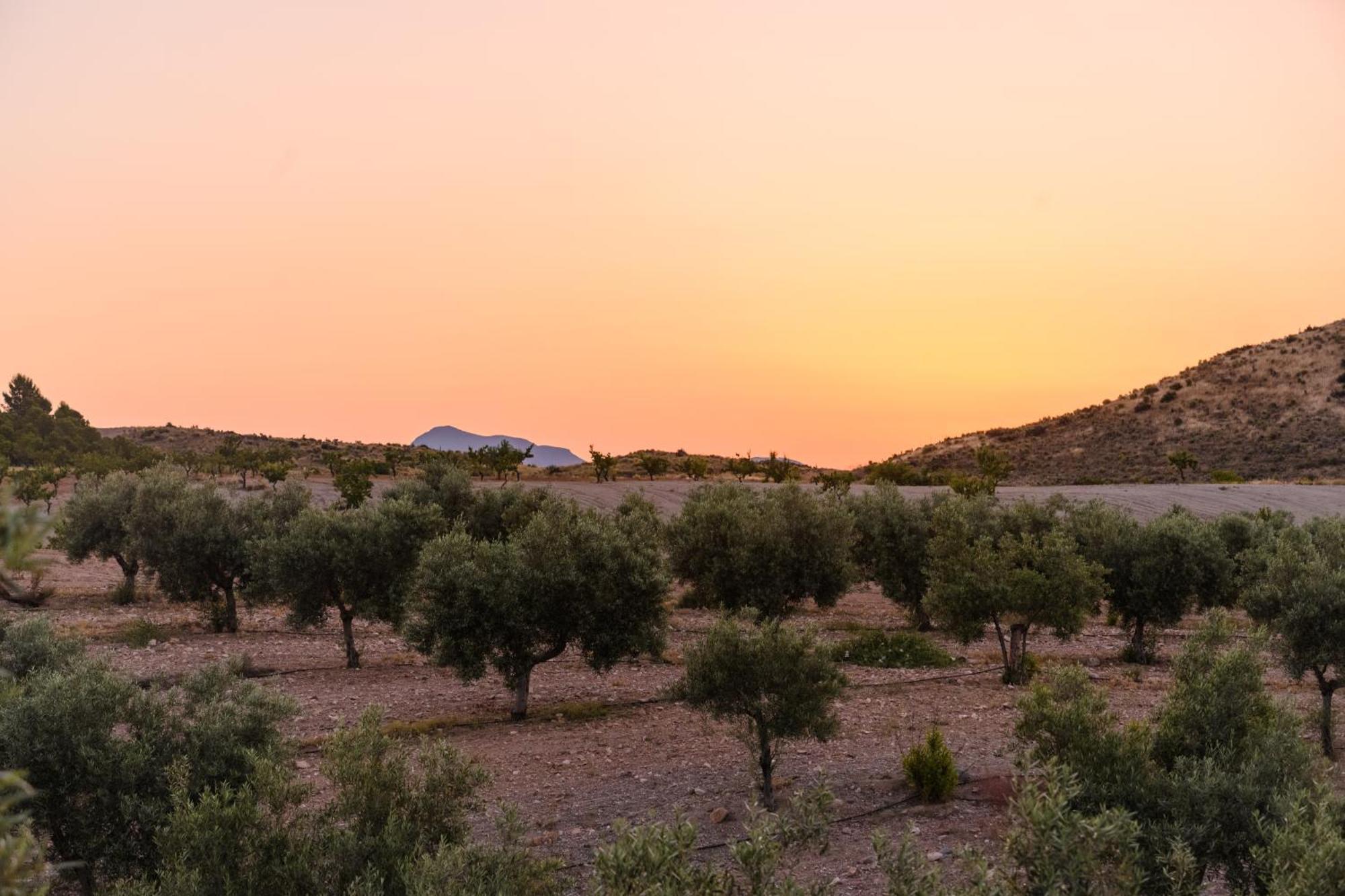 Гостевой дом Complejo Rural Sol De Таберно Экстерьер фото